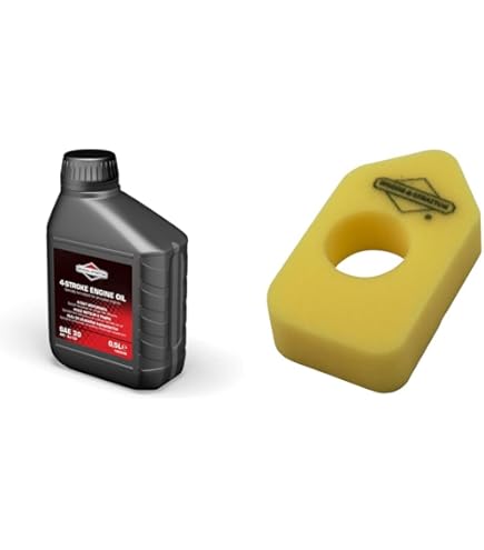 Genuine Briggs & Stratton Engine Oil Sae 30 0.6L 100005 E BP100005 E | GHS - Foto 2