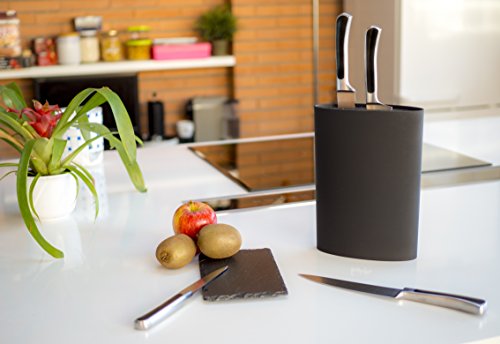 #1 Messerblock / Messerhalter von BRUMA – Unbestückt – Ohne Messer – Borsteneinsatz Herausnehmbar – Für Aufbewahrung der Messer. Zwei Jahre Austauschgarantie - 2