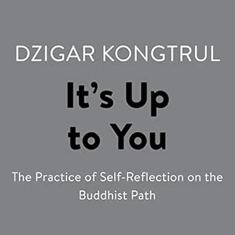 It S Up To You The Practice Of Self Reflection On The Buddhist Path Audio Download Amazon In Dzigar Kongtrul Pema Chodron Random House Audio Audible Audiobooks