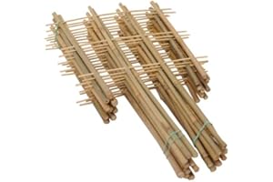 DIXIE STORE Rankgitter Bambus Set 10 Stück Länge 90 cm - Tomaten Rankhilfe Gurken - Rankhilfen für Kletterpflanzen Gurken Rankhilfe Tomaten - Rankenhilfe für Pflanzen Topf 4S