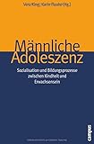 Image de Männliche Adoleszenz: Sozialisation und Bildungsprozesse zwischen Kindheit und Erwachsensein