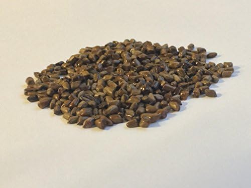 Yin Yang Palace Cassia Seeds Jue Ming Zi Premium TCM Grade Quality Herb used to help clear liver heat and aid in maintaining healthy Cholesterol (500g)