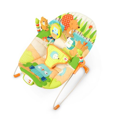 Bright Starts Little Explorer Bouncer