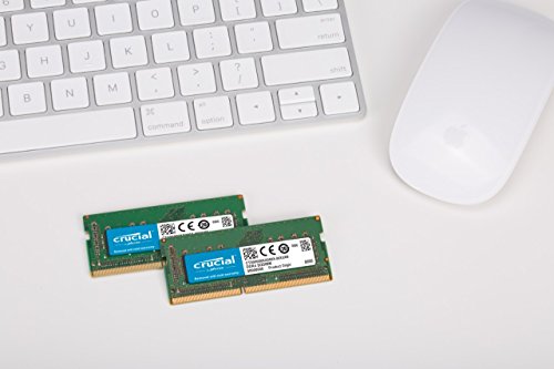 Crucial CT2C16G4S24AM - Kit de Memoria para Mac de 32 GB  16 GB x 2  DDR4  2400 MT s  PC4-19200  DR x8  SODIMM  260-Pin 