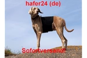 BACK ON TRACK Dog Copenhagen Back-on-Track Lendenwirbelschutz für Hunde, Größe S, Schwarz