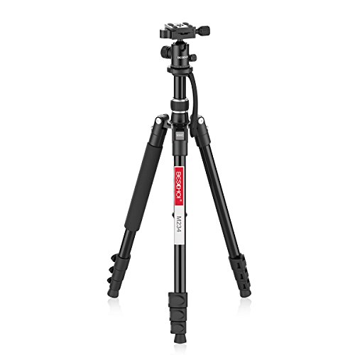 Beschoi Kamera Dreibein-Stativ , 4-Sektion Reise-Stativ 62 inch Magnesium-Aluminium-Legierung leichte Professionelle faltbare Stativ halterung mit Kugelkopf ,8kg Belastbarkeit fr Digital kameras Camcorder Canon Nikon Sony Fujifilm DSLR Kameras