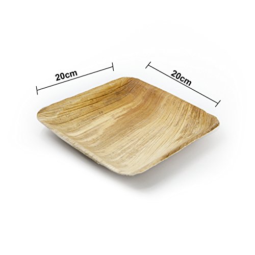 Ecológico palmblattgeschirr| Hoja de Palma teller| 25 stück| 20 x 20 cm | 100% biológico abbaubar| NaturaBiomat Hoja de Palma | como Party Plato y einweggeschirr| wegwerfbares una vez Vajilla