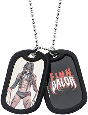 WWE Jewelry Finn Balor Stainless Steel Double Dog Tag Men's Pendant Necklace, 24"