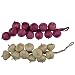Thefancymart pair of Hanging bunch of artificial Onions & Garlic Style Code- 9 RS.425.00