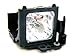 Produktbild MicroLamp Projector Lamp for Hitachi 130 Watt, 2000 Hours, ML10543 (130 Watt, 2000 Hours CP-S220, CP-S220A, CP-S220W, CP-S220WA, CP-S270, CP-S270W, CP-X270, CP-X270W)