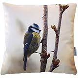 Meisenkissen, Kissenbezug, 40x40cm, Baumwolle