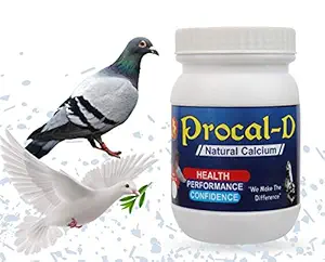 Pet Care International (PCI) Procal-D || Provide Essential Calcium for Healthy Bone || Pigeon & Dove Healthcare || Pack of 2 || 100grm x 2