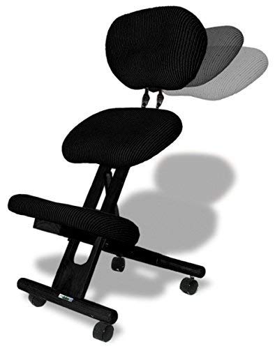 Cinius Silla ergonómica Profesional Color Negro con Respaldo