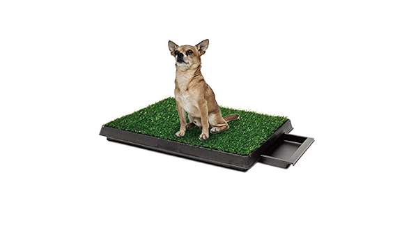 Buy Topiaukstore Indoor Pet Toilet Dog Grass Restroom Potty Training With Tray And Loo Pad Online At Low Prices In India Amazon In