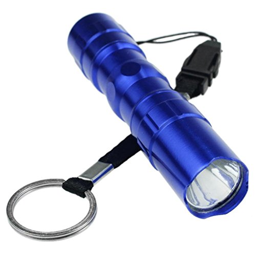 Small Torches Amazon.co.uk