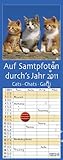 Auf Samtpfoten durchs Jahr 2011: Planer mit 4 Spalten. Mit Ferienterminen by 