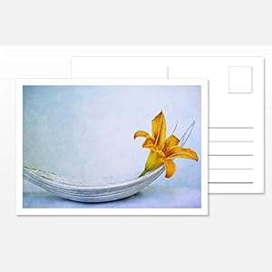 Design Fotokunst Postkarte Silent Moments 2017