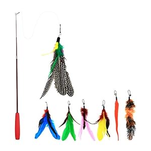 Juguete de la Pluma del Gato,8 Piezas Juguete Interactivo de Gato de Plumas Surtido Vara de 1 Varita retráctil de con Plumas de 7 Plumas colector Gato Gato – presentador Ejercicio Gatito y Gato