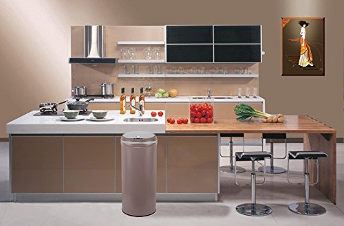 Kitchen Move Automatischer Abfalleimer mit Sensor, Edelstahl, 42 Liter, Durchmesser , mit Deckel, taupe,67,5 x 30cm - 2