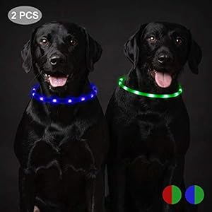 Toozey 2 Pcs Luminoso Collares para Perro LED Durante 20 Horas de Luz Continua Impermeable, USB Recargable Cortable Tira de Luz para Collar de Perro de Seguridad Nocturna – 3 Modo(Verde y Azul)