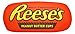 Produktbild Sweet Novelty Reese's 12 x 5 Embroidered Plush Lumbar Travel Pillow