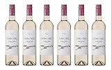 Blanc de Noir 2018 - Qualitäts Weißwein aus Österreich, trocken - Unverwechselbarer Weißweintypus aus der roten Zweigelt Traube (6 x 0,75l)