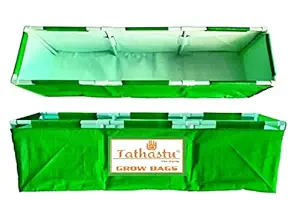 Tathastu The Purity 60