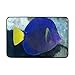 Produktbild EJjheadband Door Mats Saltwater Fish Yellow Tail for Bathroom Floor Home Decoration 23.7 x 15.7 Inch