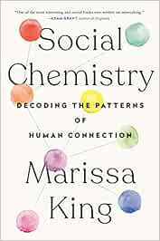 Social Chemistry Decoding The Patterns Of Human Connection Amazon De King Marissa Fremdsprachige Bucher