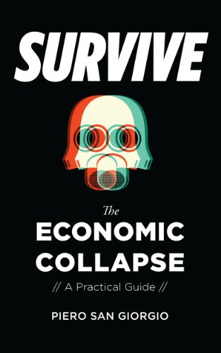 Survive -- The Economic Collapse (English Edition)