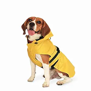 Mutt of Course Yellow Raincoat for Dogs (5XL)