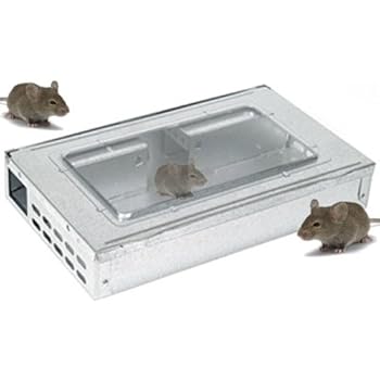 Piege souris vivante