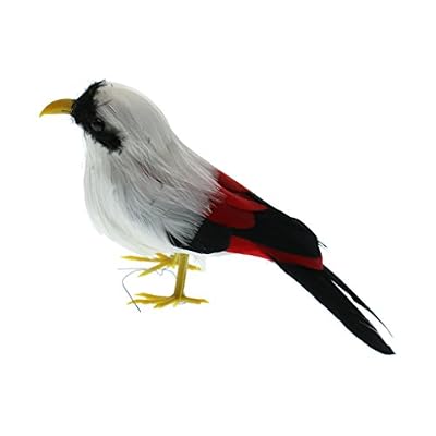 Sharplace Oiseau Plumes Décor de Figurine Jardin D'oiseau Animal Taxidermie Réaliste en Polyéthylène - Couleur #7
