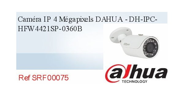 Dahua 4421 2025