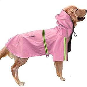 KoKoBin Chaqueta Impermeable con Capucha para Perros pequeños, medianos y Grandes