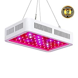 Pflanzenlampe Bestseller 2019 Test – Die besten Pflanzenlampen