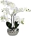 Produktbild Decoline Kunstpflanze Orchidee XL mit Keramiktopf - ca. 53cm hoch (weiß)