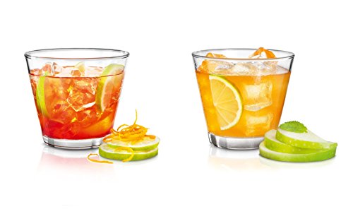 Blomus 63538 TEA-JAY on the rocks, Eisteezubereiter - 7