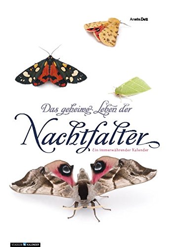 Das geheime Leben der Nachtfalter: ein immerwährender Kalender