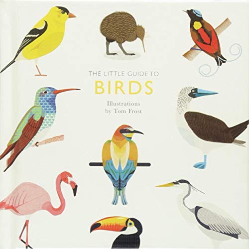 The Little Guide to Birds (Little Guides)