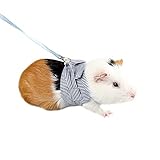 Para reducir el tirón y tirones en el cuello de tu mascota y mantener a tu mascota segura y cómoda.