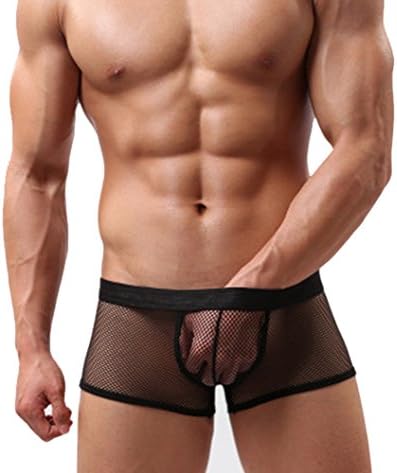MWPT Mens Sexy Mesh Boxer Briefs Pants Sheer See Through Underpants (Black, XL)