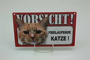 Tierwarnschild Berner Sennenhund – 20 X 12 Cm, Aus Kunststoff, Für Innen & Außen, Mit Klebestreifen