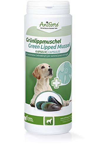 AniForte Grünlippmuschel-Kapseln 300 Stück für Hunde - reicht für 300 Tage, Gelenk-Tabletten, 100% reines Grünlippmuschel-Extrakt Perna Canaliculus, Grünlippenmuschel