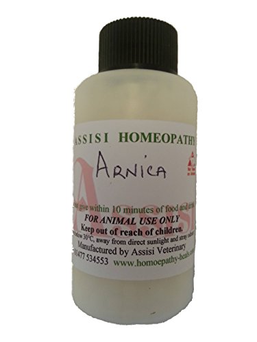 ASSISI-VETERINARY-ARNICA-30c-HOMEOPATHIC-REMEDY-1400-Pillules-Bottle-for-Horses-Dogs-Cats-and-all-Small-Animals