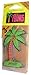 Produktbild 3er California Scents Palm Hang-Outs - Capistrano Coconut