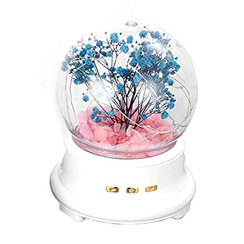 hnnew - Caja de música con Luces LED y diseño de Flores, Blanco, 12.5x12.5x16cm/4.93x4.93x6.3in