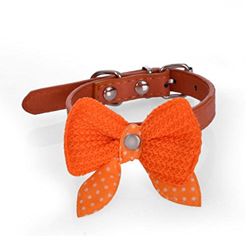 Preisvergleich Produktbild hippolo Leder Nieten Katzenhalsband mit Sicherheit Elastic Stretch Orange S