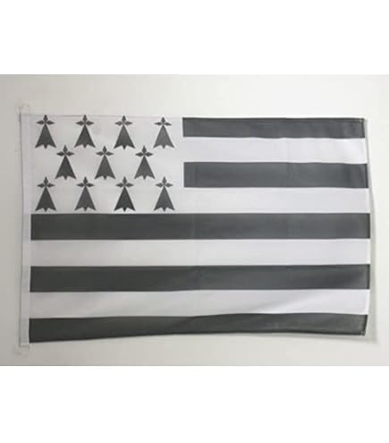 AZ FLAG Frankreich Flagge – 60 X 90 Cm, Aus Polyester, Mit Weißem Stab, Verstärkte Kanten Für Außenbereich
