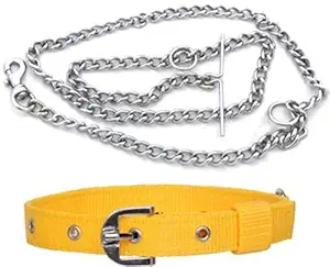 DCM PET Zone Dog Belt Combo of 3/4 inch Red Dog Collar with Dog Chain 152cm Specially for Small Dogs & Puppies Under 10-15kg Dog Collar with Silver Chain